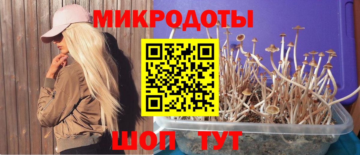 Псилоцибиновые грибы прущие грибы Новочеркасск