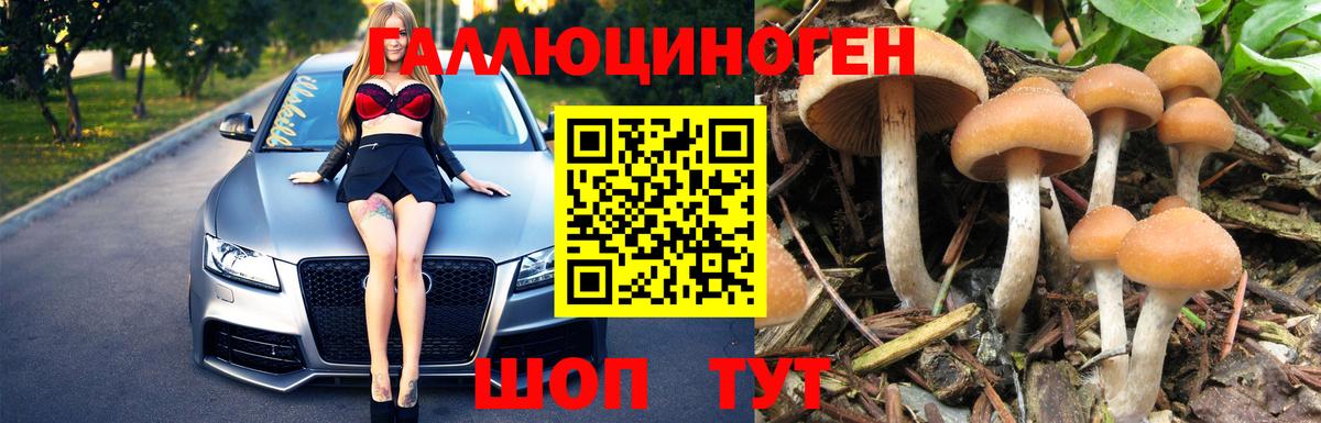 Псилоцибиновые грибы GOLDEN TEACHER  Вход с VPN  Новочеркасск 